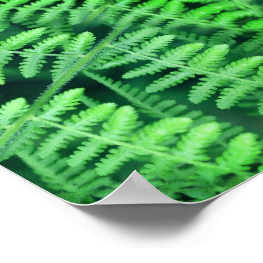Green Leafy Ferns Abstract Poster (Hoek)
