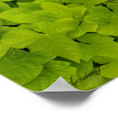 Green Leafy Texture Background Canvas of Poster (Hoek)