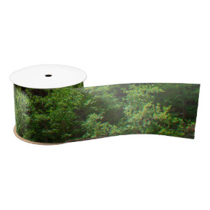 Green Leafy Trees Colorado Moffat Road Satijnen Lint