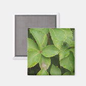 Green Leaves Magnet (Voorkant / Achterkant)