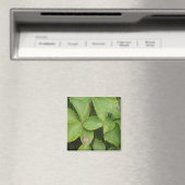 Green Leaves Magnet (Insitu (Vaatwasser))