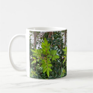Green Leaves Mok – Botanische foto van Tenerife