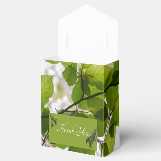 Green Leaves Trouwtent gunstbox Bedankdoosjes (Geopend)