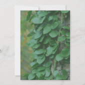 Green Leaves Vine op Tree Natuur Party Kaart (Achterkant)