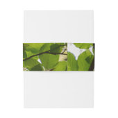 Green Leaves Wedding Vertical Belly Band Uitnodigingen Wikkel (Achterkant Voorbeeld)
