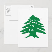 Green Libanon Cedar Briefkaart (Voorkant / Achterkant)
