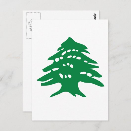 Green Libanon Cedar Briefkaart (Voorkant / Achterkant)