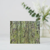 Green Lichen op boomschors Briefkaart (Staand voorkant)