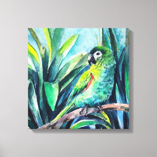 Green Little macaw Canvas Print (Voorkant)