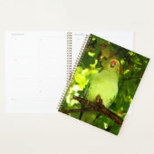 Green Little Parrot Bird Planner (Display)