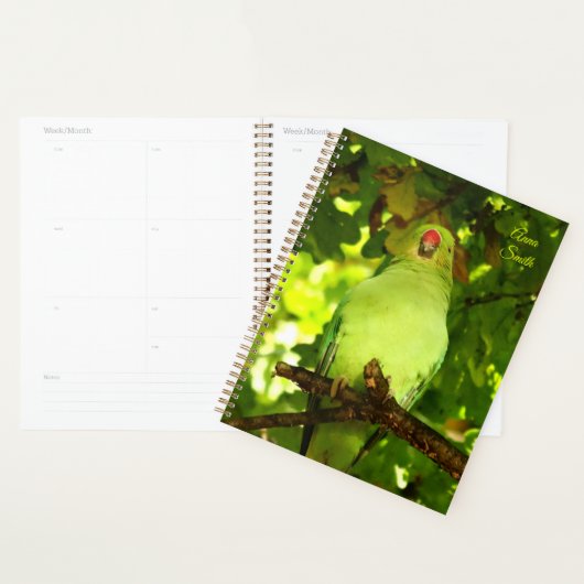 Green Little Parrot Bird Planner (Display)