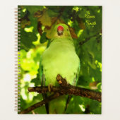 Green Little Parrot Bird Planner (Voorkant)