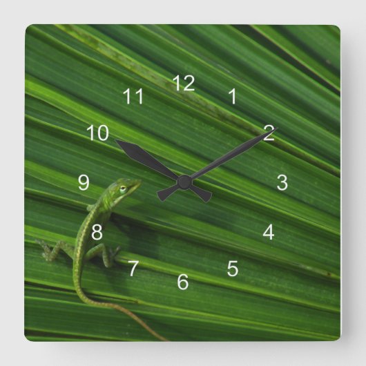 Green Lizard Clock Vierkante Klok (Voorkant)