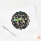 Green Lizard foto Sticker (Envelop)