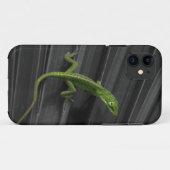 Green Lizard iPhone 5 Barely Daar Hoesje (Achterkant (horizontaal))