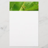 Green Lizard op Green Leaf Briefpapier (Voorkant)