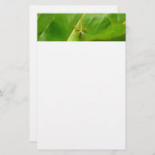Green Lizard op Green Leaf Briefpapier (Voorkant / Achterkant)