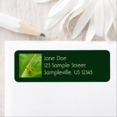 Green Lizard op Green Leaf Etiket (Insitu)