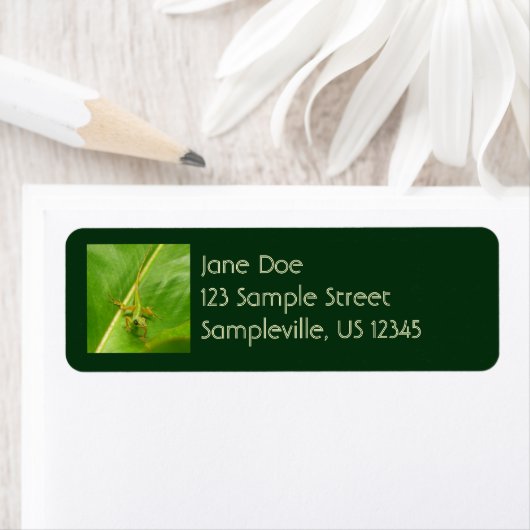 Green Lizard op Green Leaf Etiket (Insitu)