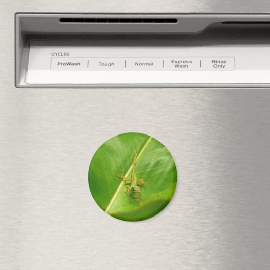 Green Lizard op Green Leaf Magneet (Insitu (Vaatwasser))