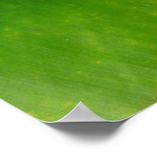 Green Lizard op Green Leaf Poster (Hoek)