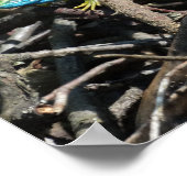 Green Lizard Photo Value Poster Paper (Hoek)