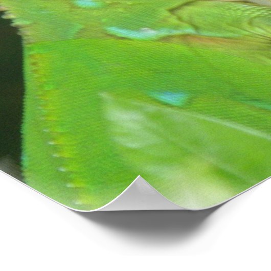 Green Lizard Poster Print (Hoek)