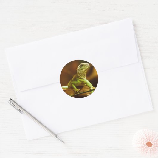 Green Lizard Sticker (Envelop)