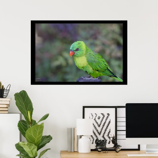 Green Lorikeet Poster (Thuiskantoor)