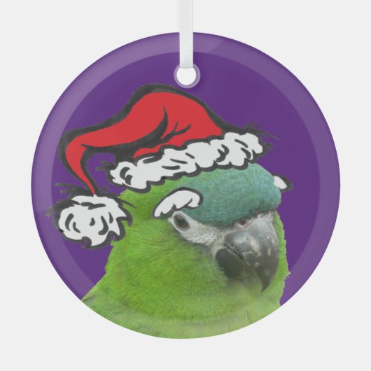 Green Lorikeet Santa Glass Ornament (Voorkant)