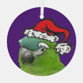 Green Lorikeet Santa Glass Ornament (Achterkant)