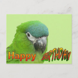 Green Loriket Happy Birthday Cust. Briefkaart