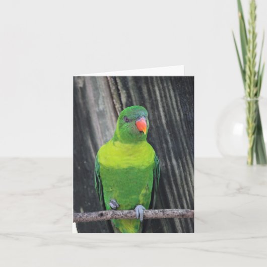 Green Loriket Photo Folded Note Kaart (Voorkant)