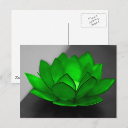 Green Lotus Briefkaart (Voorkant / Achterkant)