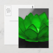 Green Lotus Briefkaart (Voorkant / Achterkant)