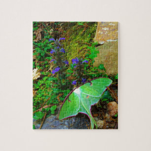 Green Luna moth Legpuzzel