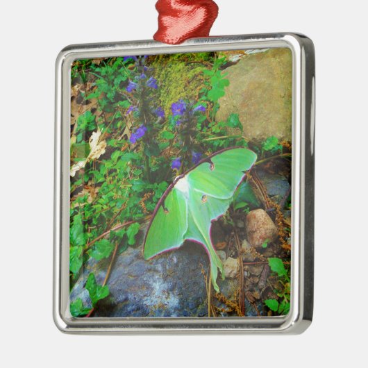 Green Luna moth Metalen Ornament (Links)