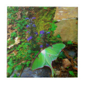 Green Luna moth Tegeltje (Voorkant)