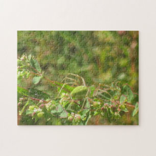 Green Lynx Spider Legpuzzel