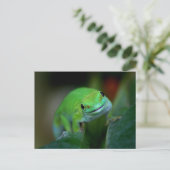 Green Madagascan Day Gecko Briefkaart (Staand voorkant)