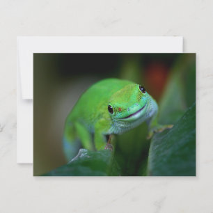 Green Madagascan Day Gecko Briefkaart