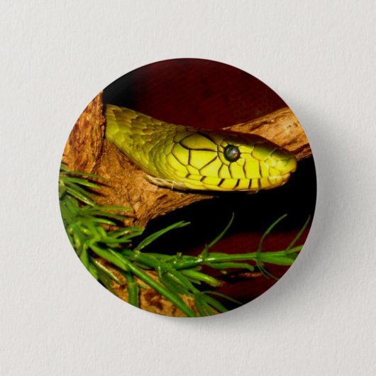 Green Mamba Ronde Button 5,7 Cm (Voorkant)