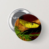 Green Mamba Ronde Button 5,7 Cm (Voorkant /achterkant)
