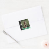 Green Modern Block Photo Afstuderen Vierkante Sticker (Envelop)