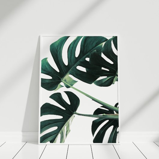 Green Monstera Fotografie Poster