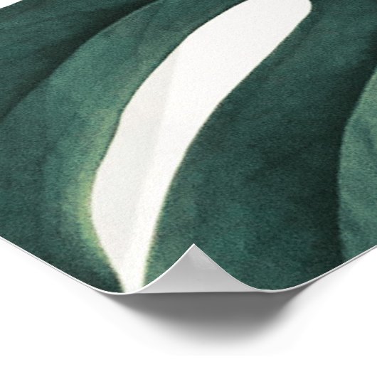 Green Monstera Fotografie Poster (Hoek)