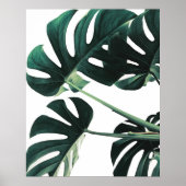 Green Monstera Fotografie Poster (Voorkant)