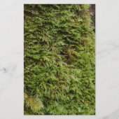 Green Moss Briefpapier (Voorkant)