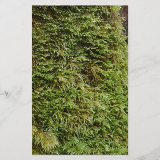 Green Moss Briefpapier (Voorkant)