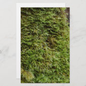 Green Moss Briefpapier (Voorkant / Achterkant)